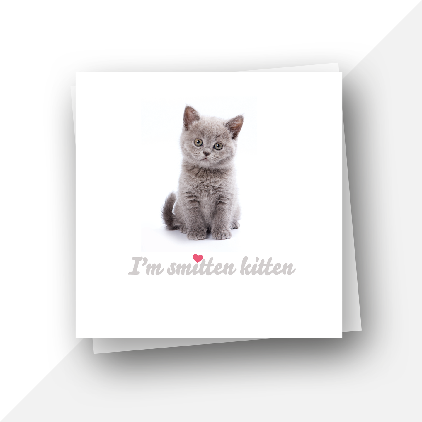I’m smitten kitten